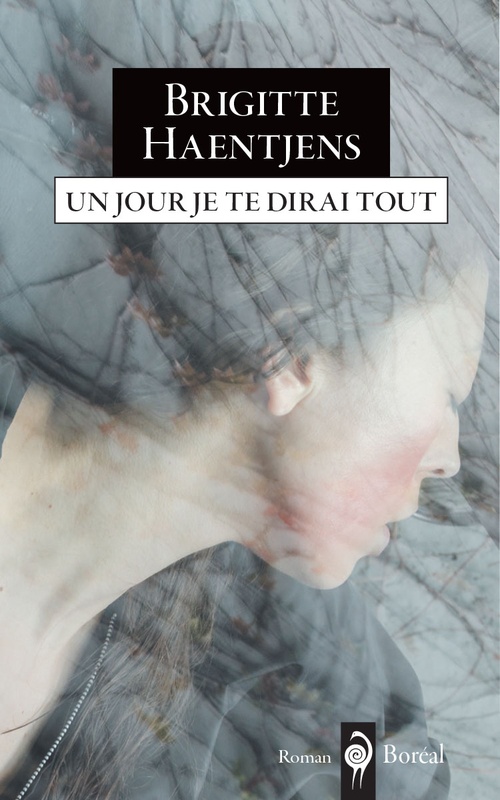 ebook cover of Un jour je te dirai tout, by Brigitte Haentjens