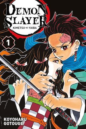 ebook cover of Demon Slayer T01, by Koyoharu Gotôge