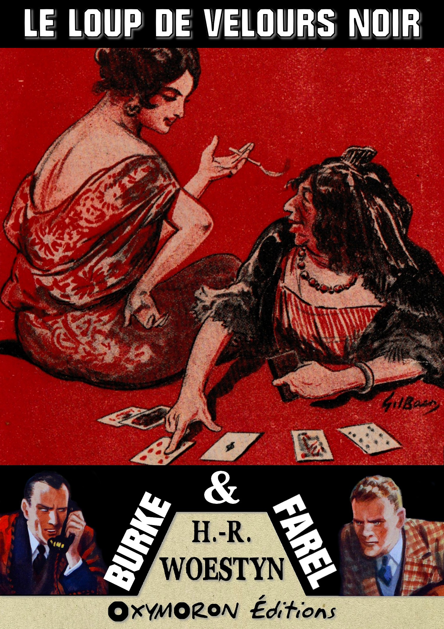 ebook cover of Le loup de velours noir, by H.-R. Woestyn