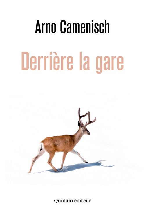 ebook cover of Derrière la gare, by Arno Camenisch