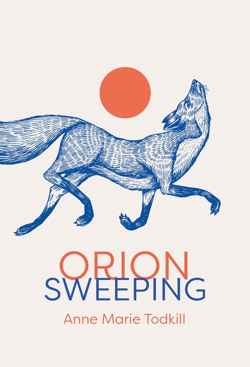Couverture ebook de Orion Sweeping, de Anne Marie Todkill