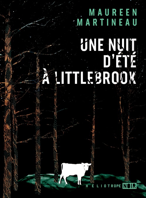 ebook cover of Une nuit d'été à Littlebrook, by Maureen Martineau