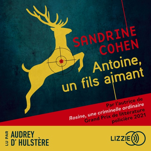 Couverture audiobook de Antoine, un fils aimant, de Sandrine Cohen