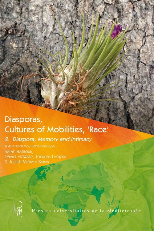 ebook cover of Diasporas, Cultures of Mobilities, `Race´ 2, by