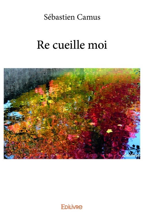 Couverture ebook de Re cueille moi, de S ©Bastien Camus