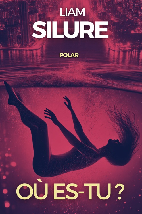 Couverture ebook de Où es-tu ?, de Liam Silure