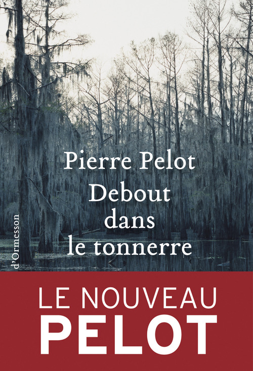 ebook cover of Debout dans le tonnerre, by Pierre Pelot