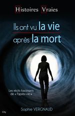 ebook cover of Ils ont vu la vie après la mort, by Serge Cardon