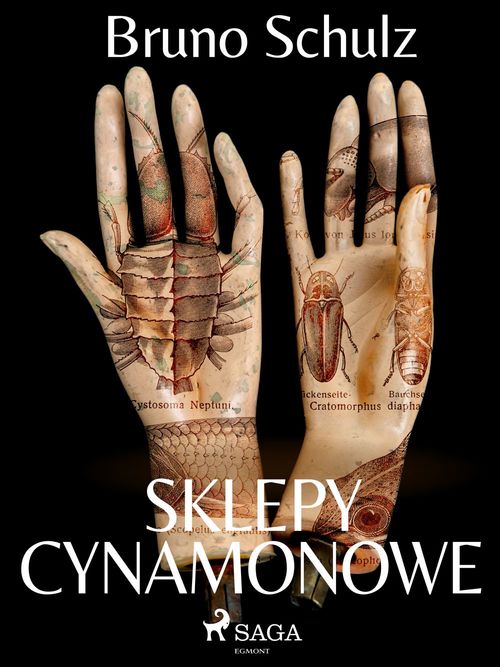 Couverture ebook de Sklepy cynamonowe - zbiór, de Bruno Schulz