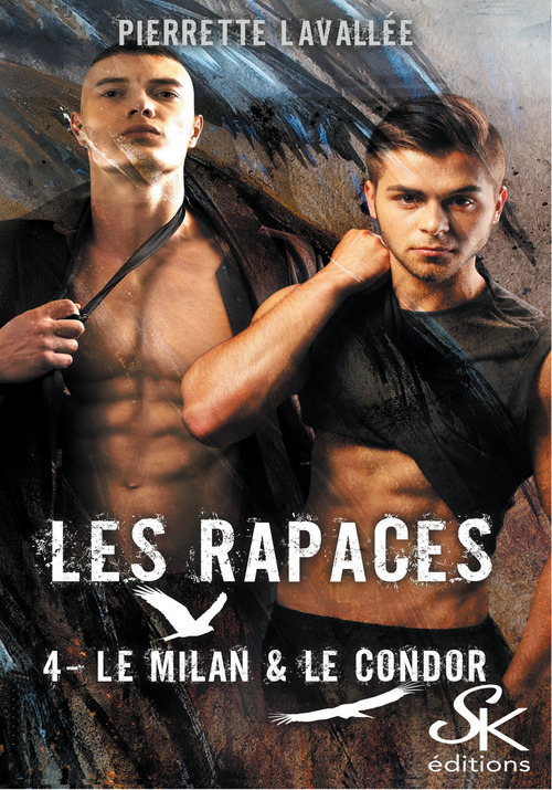 Couverture ebook de Les Rapaces 4, de Pierrette Lavallée