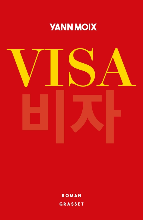 ebook cover of Visa, by Yann Moix