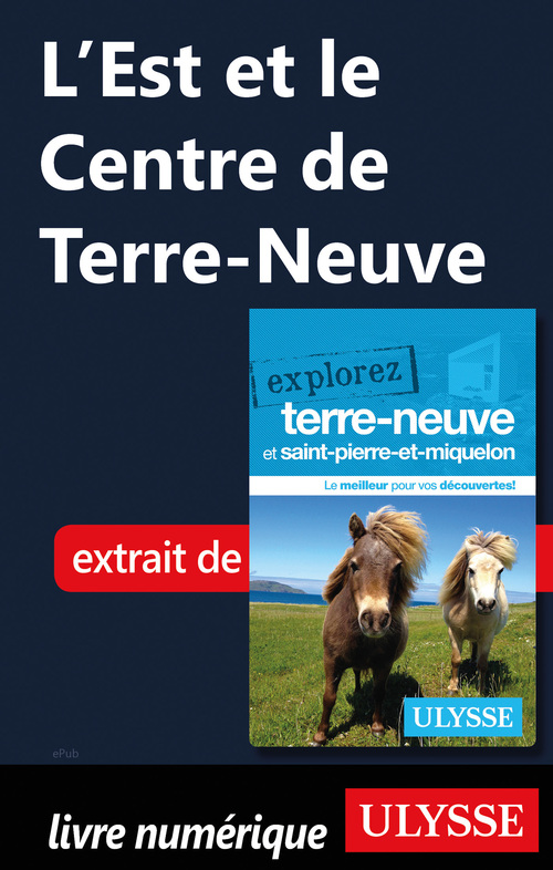 ebook cover of L'Est et le Centre de Terre-Neuve, by Benoit Prieur, Frederique Sauvee