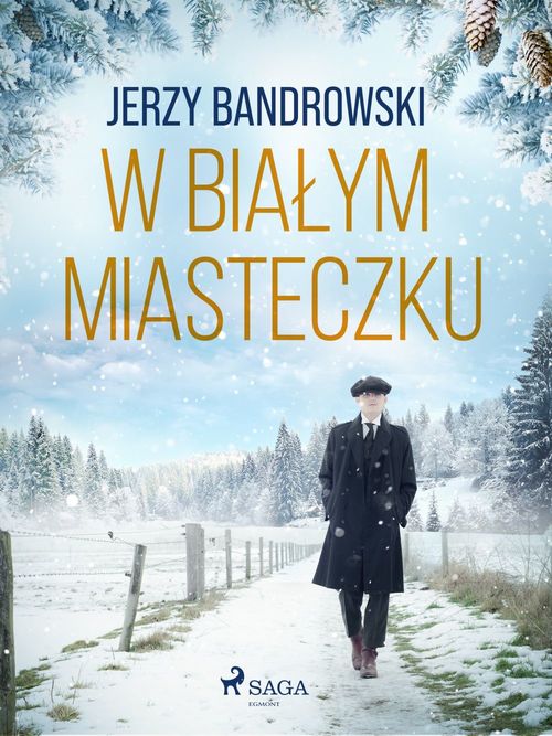 ebook cover of W bialym miasteczku, by Jerzy Bandrowski