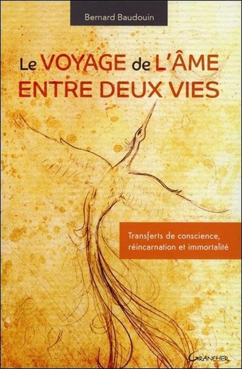 Couverture ebook de Le voyage de l'âme entre deux vies - Transferts de conscience, réincarnation et immortalité, de Bernard Baudouin