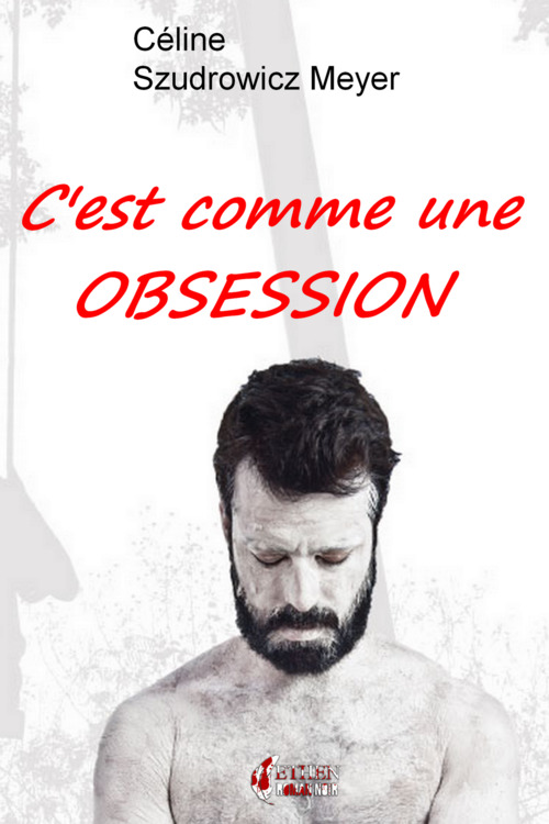 ebook cover of C'est comme une obsession, by Celine Szudrowicz Meyer