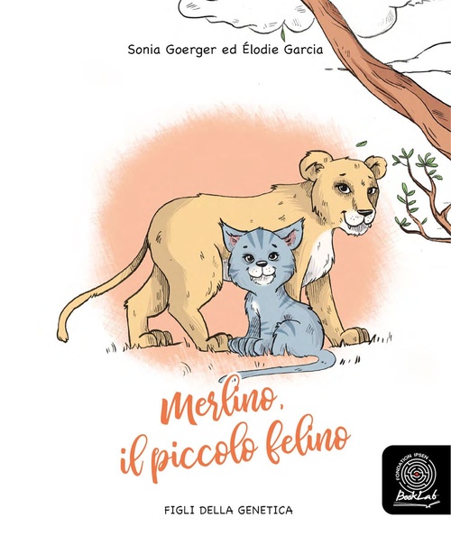 ebook cover of Merlino, il piccolo felino, by Sonia Goerger