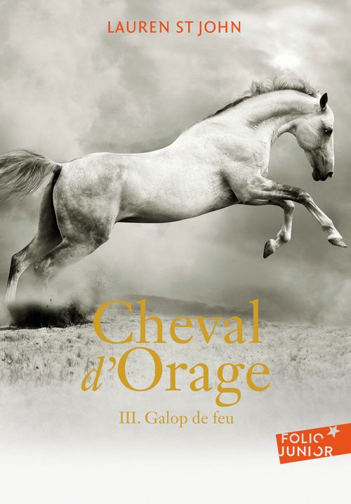 Couverture ebook de Cheval d'Orage (Tome 3) - Galop de feu, de Lauren St john