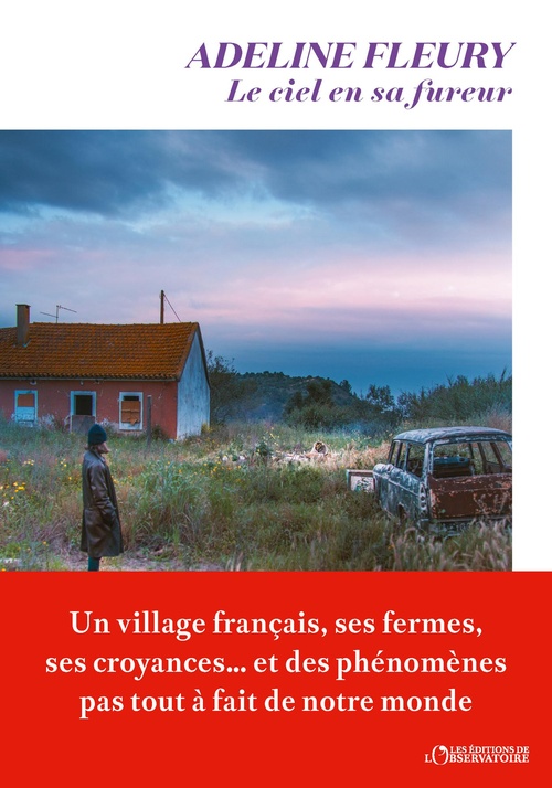 ebook cover of Le Ciel en sa fureur, by Adeline Fleury