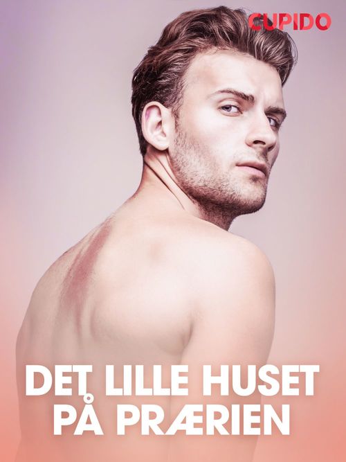 ebook cover of Det lille huset på prærien - erotiske noveller, by Cupido