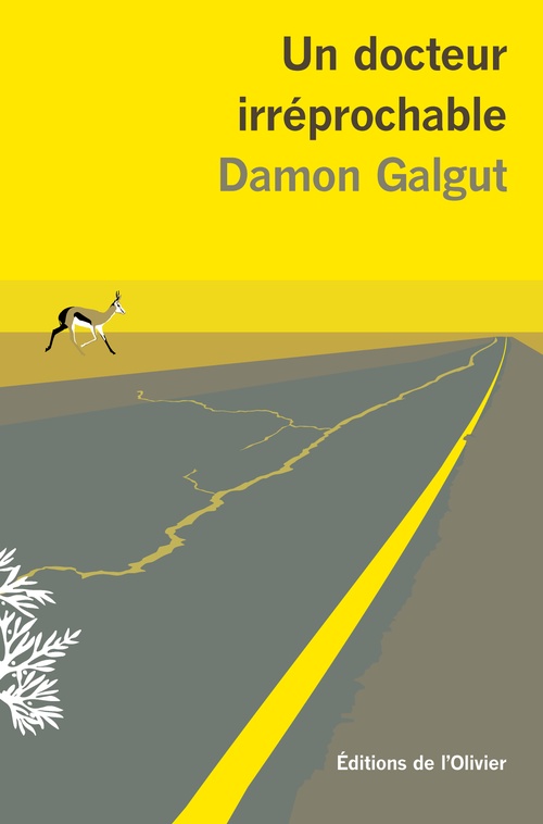 Couverture ebook de Un docteur irréprochable, de Damon Galgut