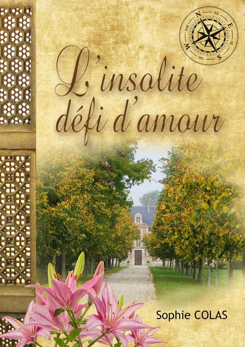 ebook cover of L'insolite défi d'amour, by Sophie Colas