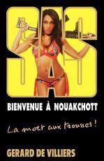 Couverture ebook de SAS 187 Bienvenue à Nouakchott, de Gérard de Villiers