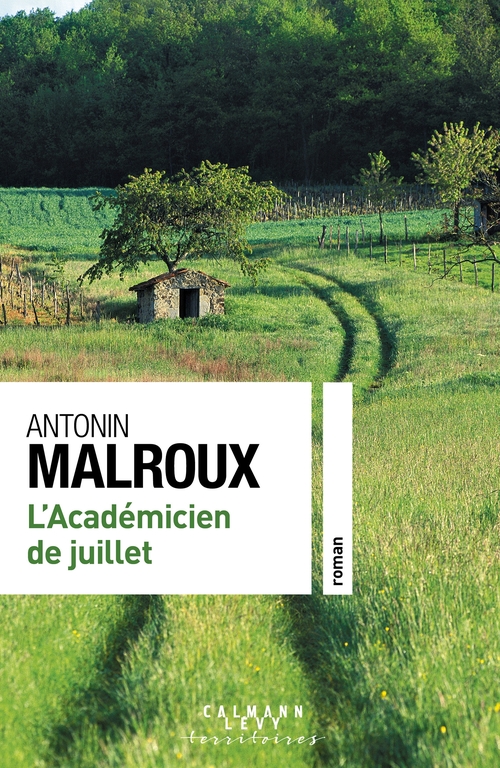 ebook cover of L'Académicien de juillet, by Antonin Malroux