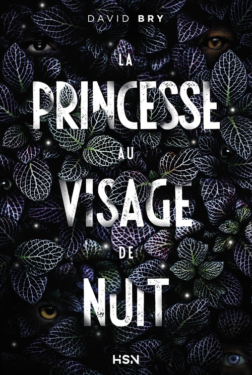 Couverture ebook de La Princesse au visage de nuit, de David Bry