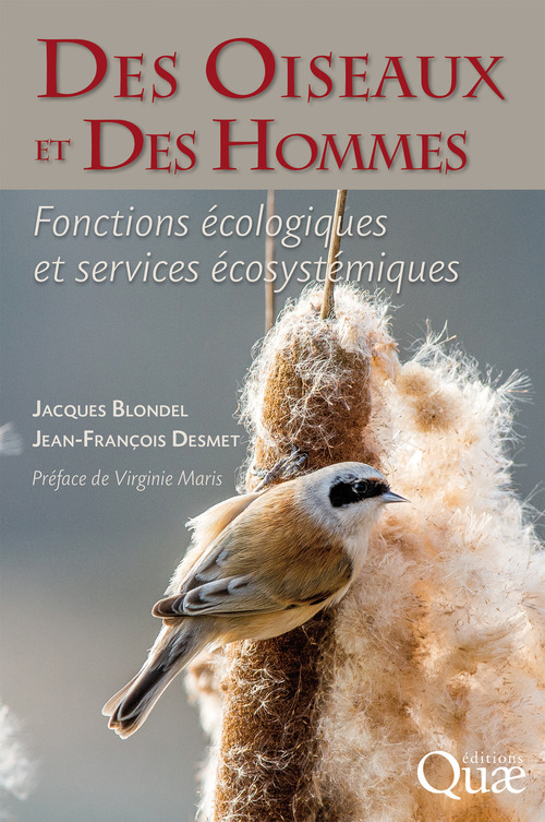 ebook cover of Des oiseaux et des hommes, by Jacques Blondel, Jean-françois Desmet