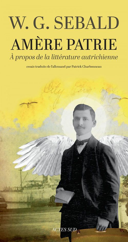 ebook cover of Amère patrie, by Winfried georg Sebald