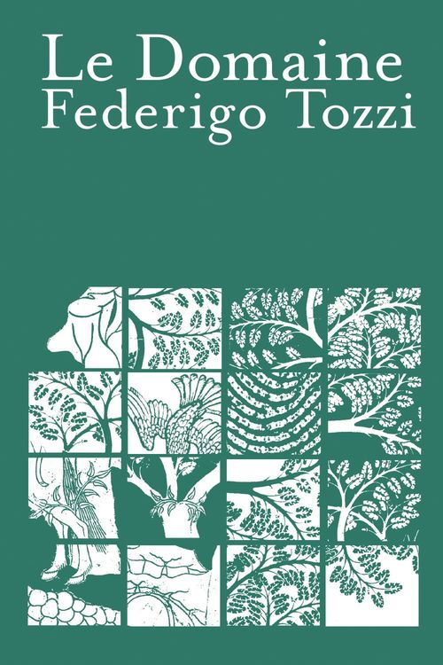 Couverture ebook de Le Domaine, de Federigo Tozzi
