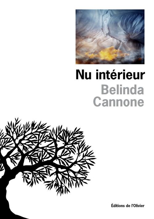 ebook cover of Nu intérieur, by Belinda Cannone