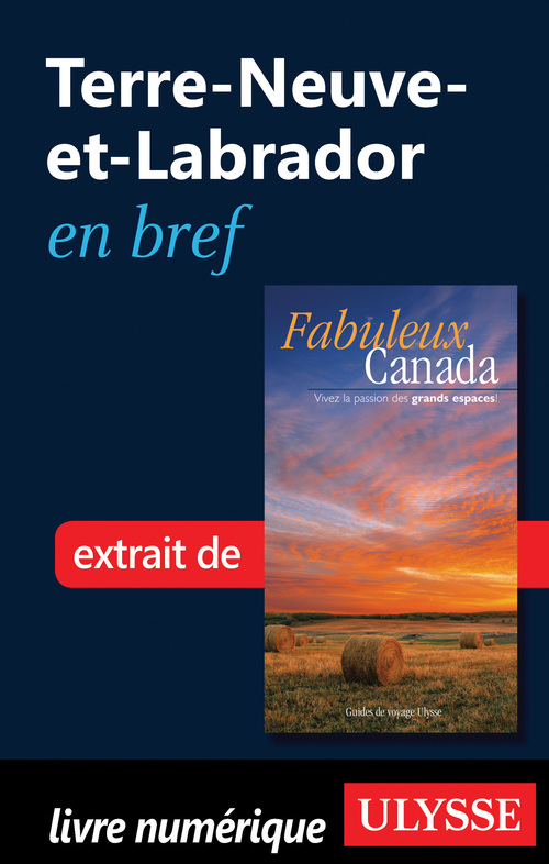 Couverture ebook de Terre-Neuve-et-Labrador en bref, de Collectif
