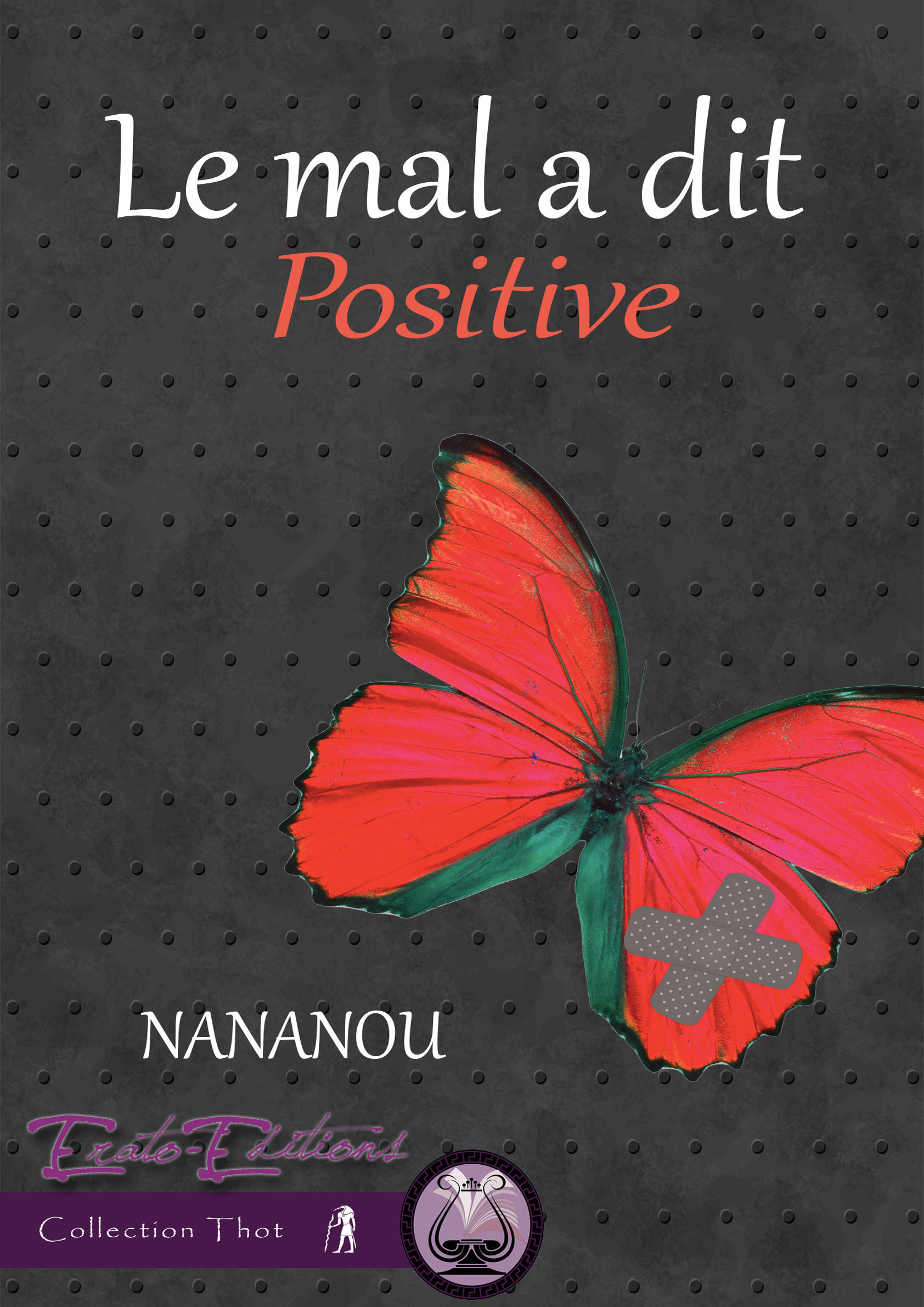 ebook cover of Le Mal a Dit, by Nananou