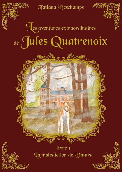 ebook cover of Les aventures extraordinaires de Jules Quatrenoix - Livre 1, by Tatiana Deschamps