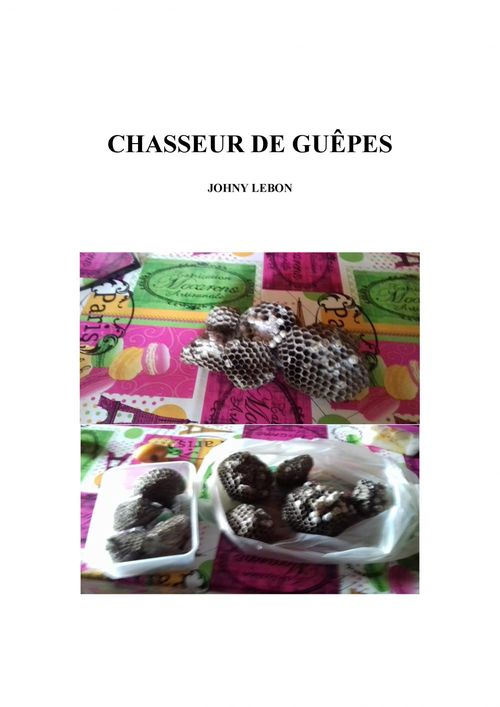 Couverture ebook de Chasseur de guêpes, de Johny Lebon