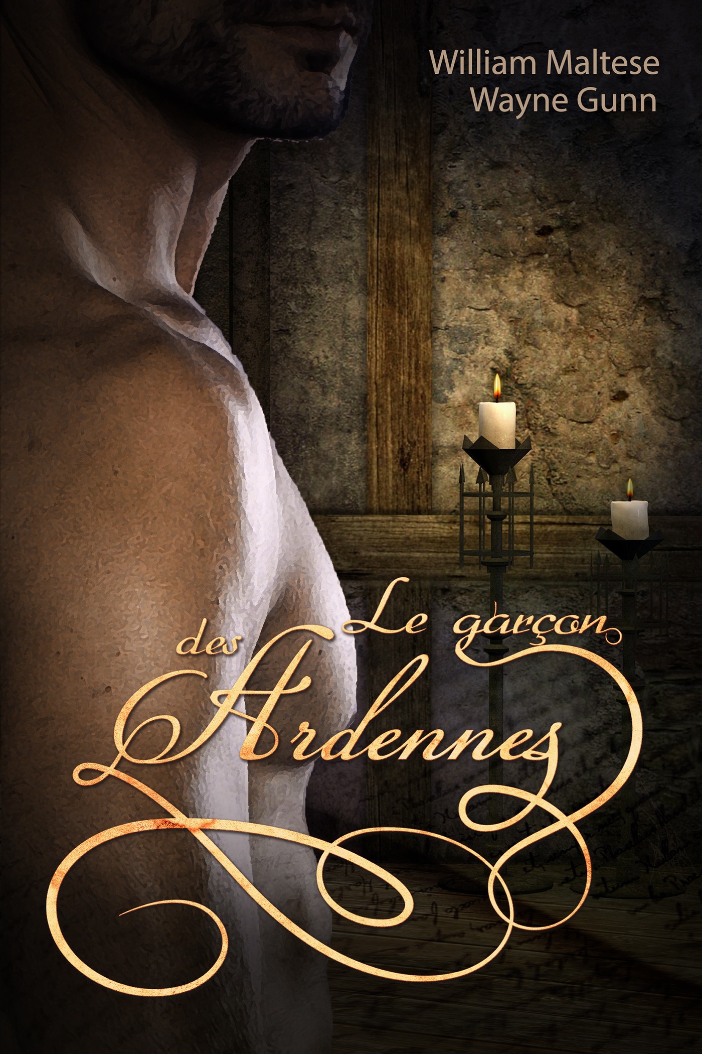 Couverture ebook de Le Garçon des Ardennes, de Wayne Gunn, William Maltese