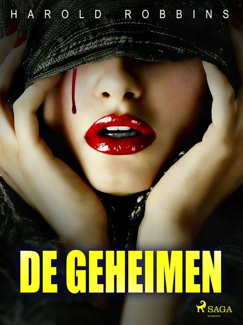 Couverture ebook de De geheimen, de Harold Robbins