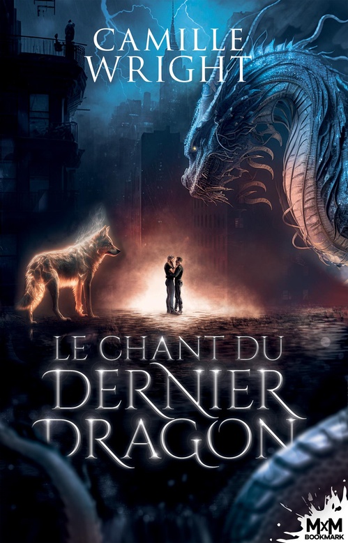 Couverture ebook de Le chant du dernier dragon, de Camille Wright