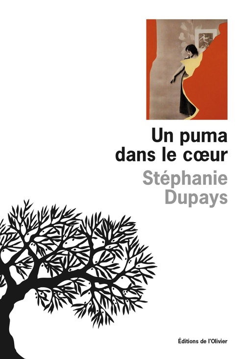 ebook cover of Un puma dans le coeur, by Stéphanie Dupays