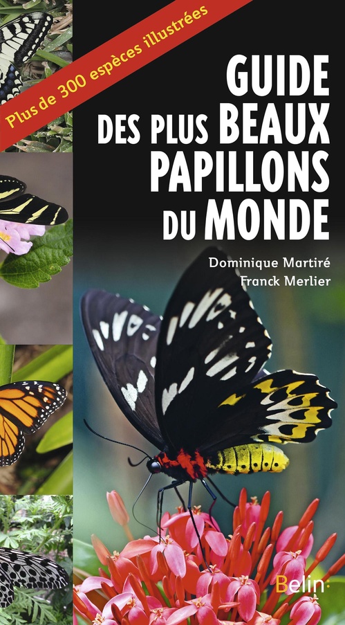 Couverture ebook de Guide des plus beaux papillons du monde, de Dominique Martiré, Franck Merlier