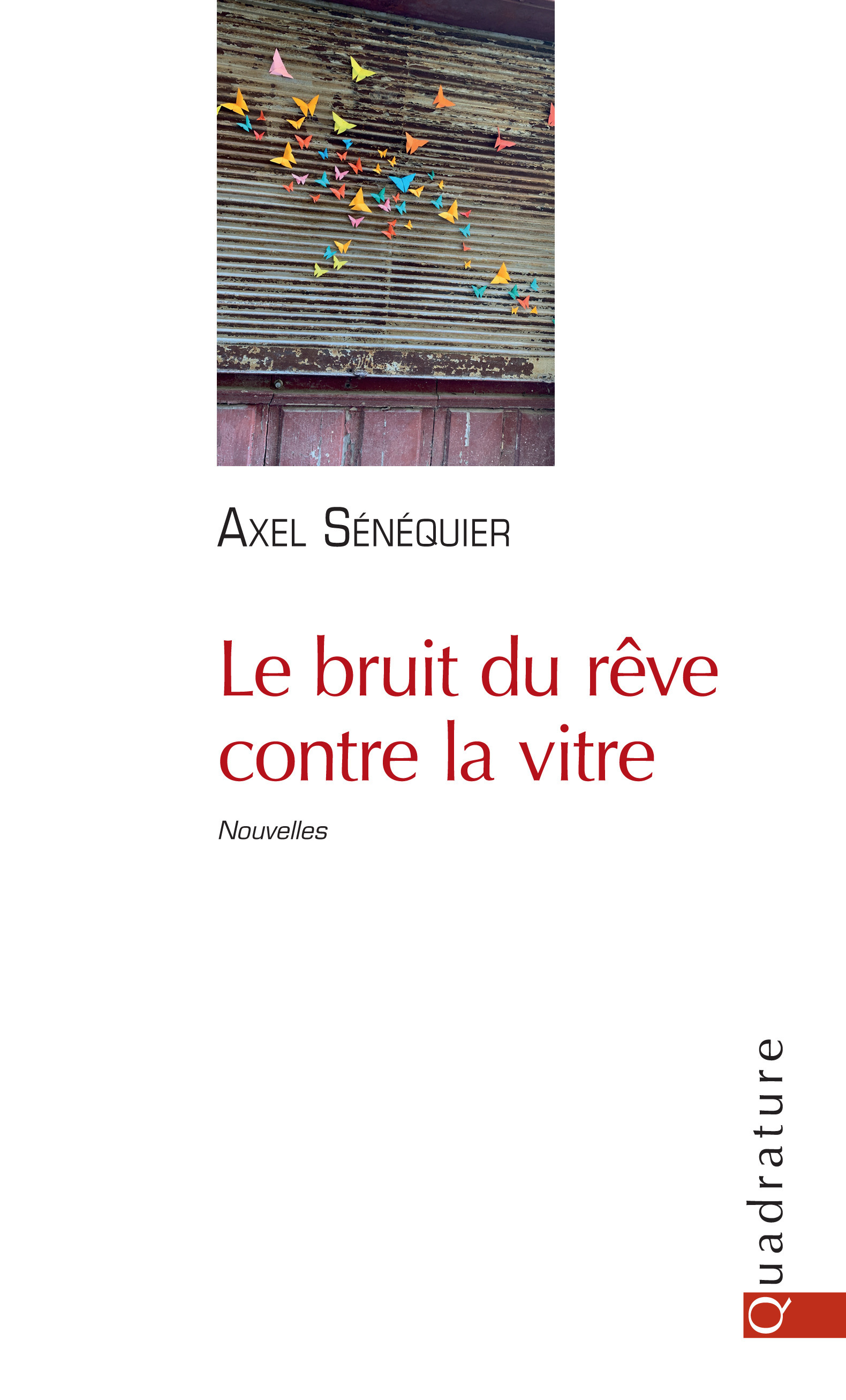 Couverture ebook de Le bruit du rêve contre la vitre, de Axel Senequier