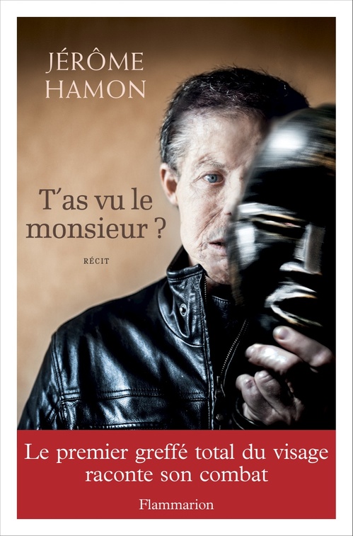 Couverture ebook de T'as vu le monsieur ?, de Jérôme Hamon
