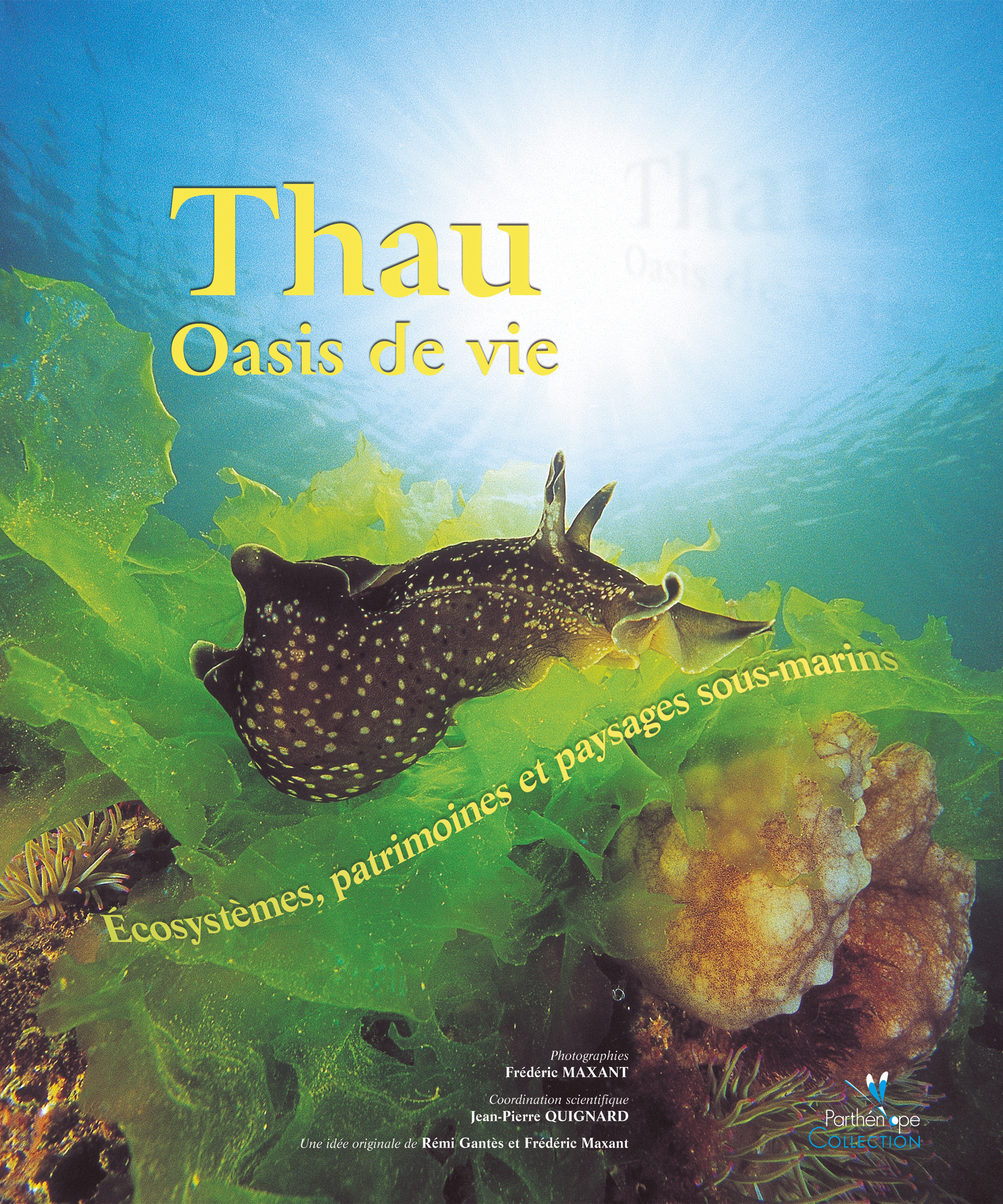 Couverture ebook de Thau oasis de vie, de Maxant