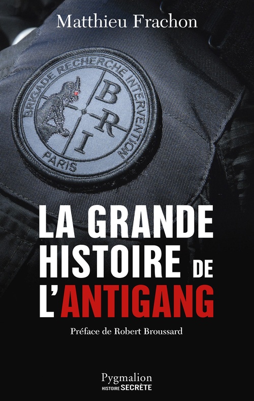 ebook cover of La Grande Histoire de l'Antigang, by Matthieu Frachon
