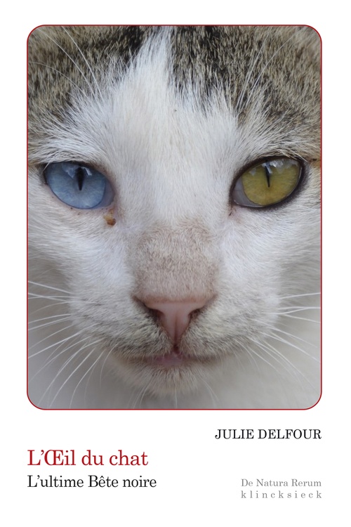 Couverture ebook de L´OEil du chat, de Julie Delfour
