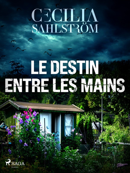 ebook cover of Le Destin entre les mains, by Cecilia Sahlström