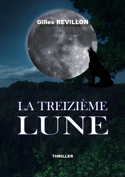 ebook cover of La Treizième Lune, by Gilles Revillon