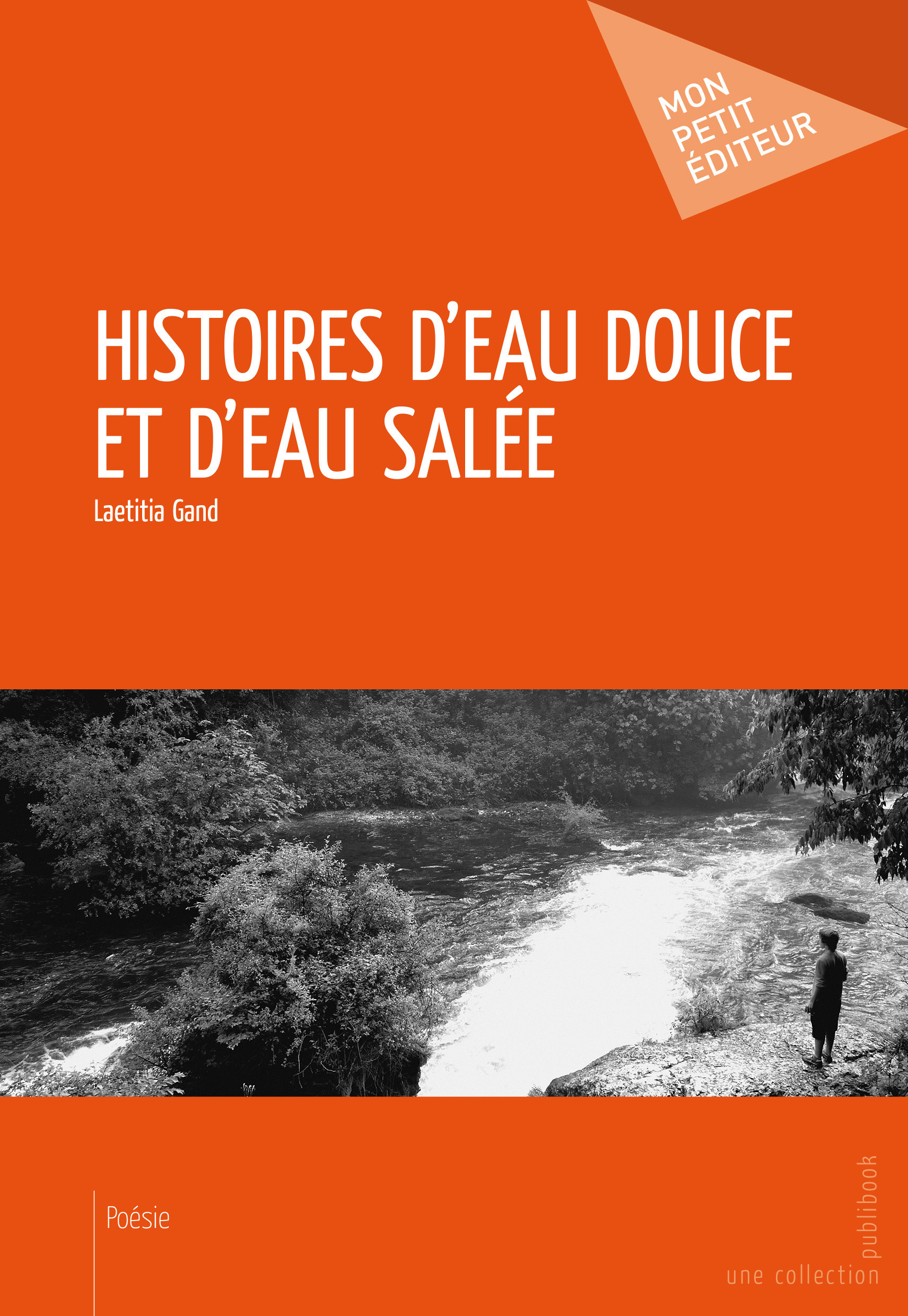 ebook cover of Histoires d'eau douce et d'eau salée, by Laetitia Gand