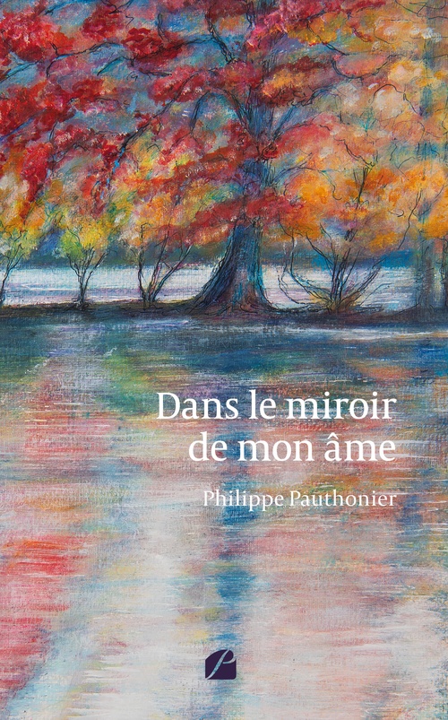 ebook cover of Dans le miroir de mon âme, by Philippe Pauthonier